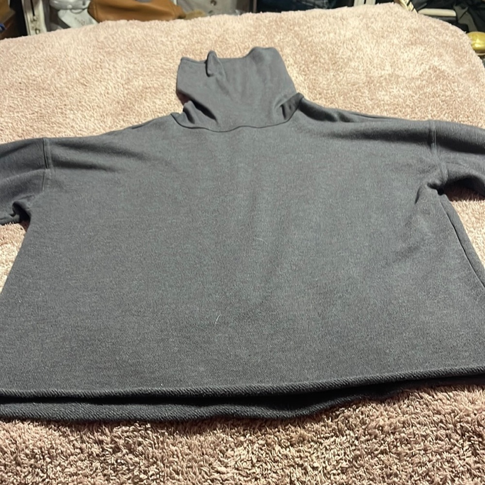 Aerie sweatshirt